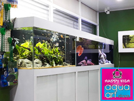 HAPPY FISH AQUA STORE