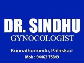 Dr Sindhu Gynocologist