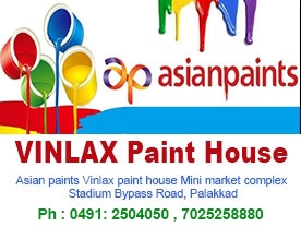 Vinlax Paint House