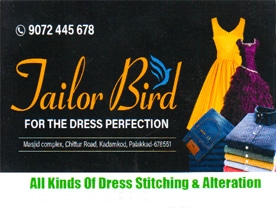 Tailor Bird