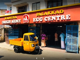 Madeena Egg and Chicken Centre - Best and Top Chicken Centre in Palakkad