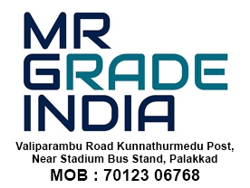 Mr Grade India Education