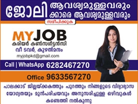 My Job Career Consultancy