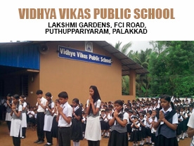 Vidhya Vikas Public School
