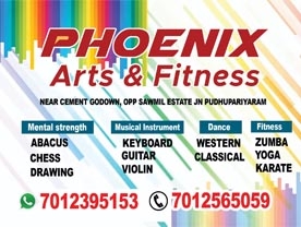 Phoenix Arts and Fitness