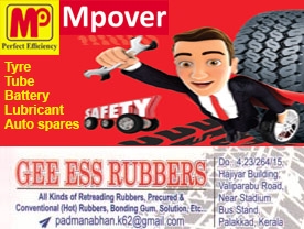 Gee Ess Rubbers