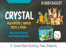 Crystal Aquarium