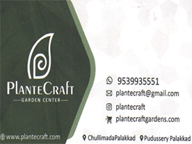 Plante Craft Garden Center
