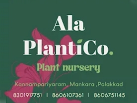 Are you searching for best Landscape and gardening , Nursery Gardens,Agricultural Chemicals and Machinery in Palakkad Kerala ?.
Click here to get Ala Planti Co contact address and phone numbers