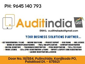 Audit India