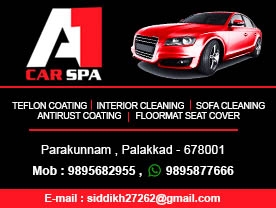 A1 Car Spa