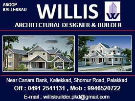 Willis Architectural Designer and Builder