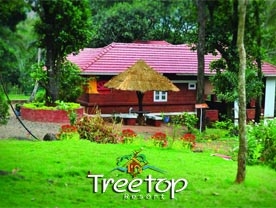 Tree Top Resort
