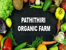 Are you searching for best Orgnic Food Shop in Palakkad Kerala ?. Click here to get Pathithiri Organic farm contact address and phone numbers