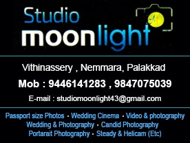 Studio Moonlight