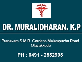 Dr Muralidharan K P