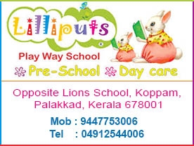 Lillyputs Play Schools