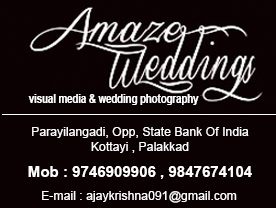 Amaze Weeding Hi Tech Studio