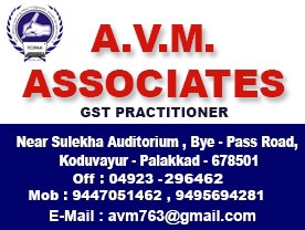 A V M Associates