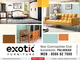 Exotic Furniture
