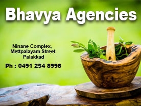 Bhavya Agencies