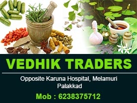 VEDHIK TRADERS