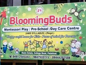 Blooming Buds Pre school