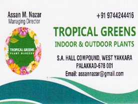 Tropical Greens - Best and Top Nursery Gardens in Palakkad