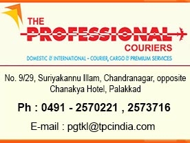 The Professional Couriers